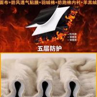 cms/erpbt/backend/web/uploads/erp/collection/images/Men Clothes/MENSI/EN0183854/img_b/EN0183854_img_b_2
